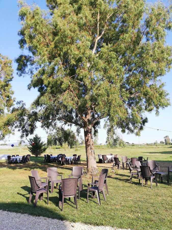 Agriturismo Le Folaghe テッラチーナ エクステリア 写真