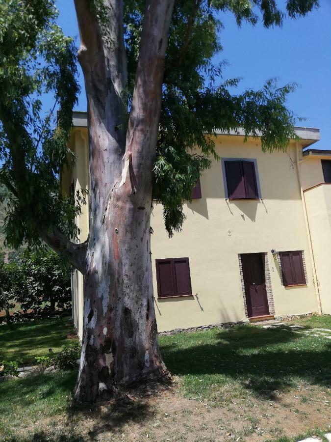 Agriturismo Le Folaghe テッラチーナ エクステリア 写真
